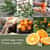 1123131 Yankee Candle Sage & Citrus Room Spray