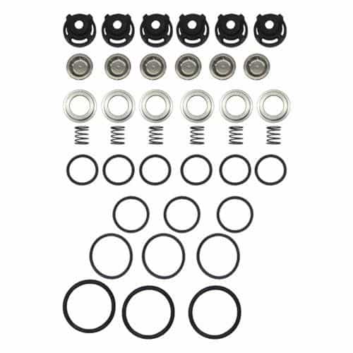 Giant Pumps 09315 Valve Replacement Kit (P57)
