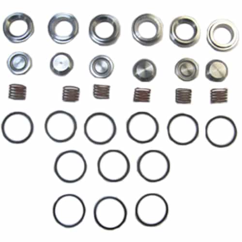 09196A Giant Pumps Valve Assembly Kit - Complete