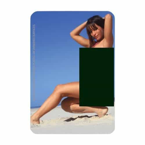 Seaside Bikini Air Freshener Overlay